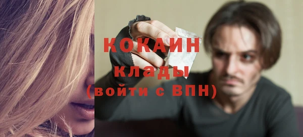 прущие грибы Балахна
