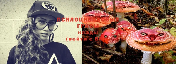 крисы Балабаново