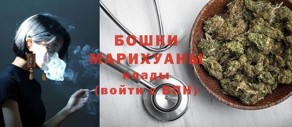 прущие грибы Балахна