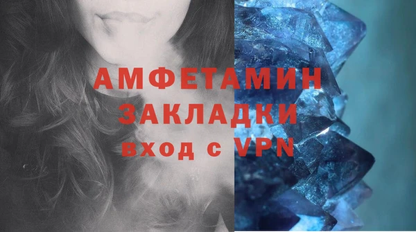 прущие грибы Балахна