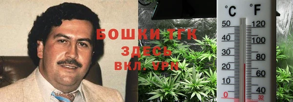 прущие грибы Балахна